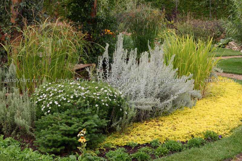 Цветники-миксбордеры.