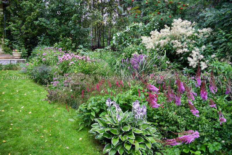 Цветники-миксбордеры.