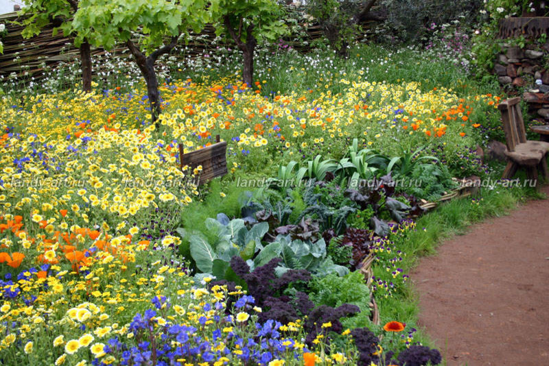 Цветники-миксбордеры.