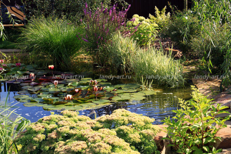 Небольшой уютный садик.