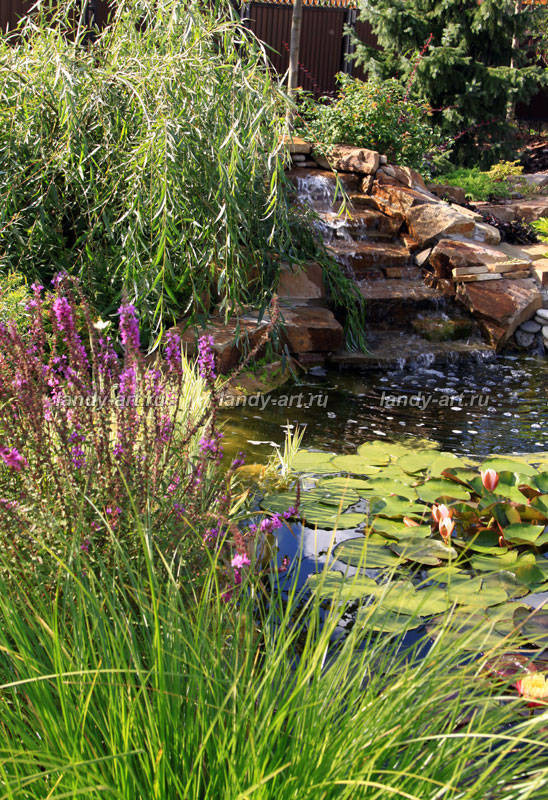 Небольшой уютный садик.