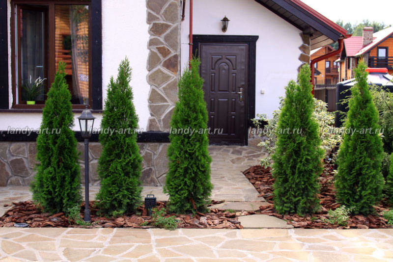 Небольшой уютный садик.