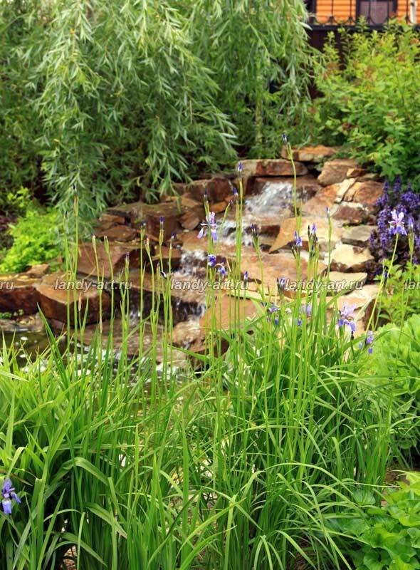 Небольшой уютный садик.