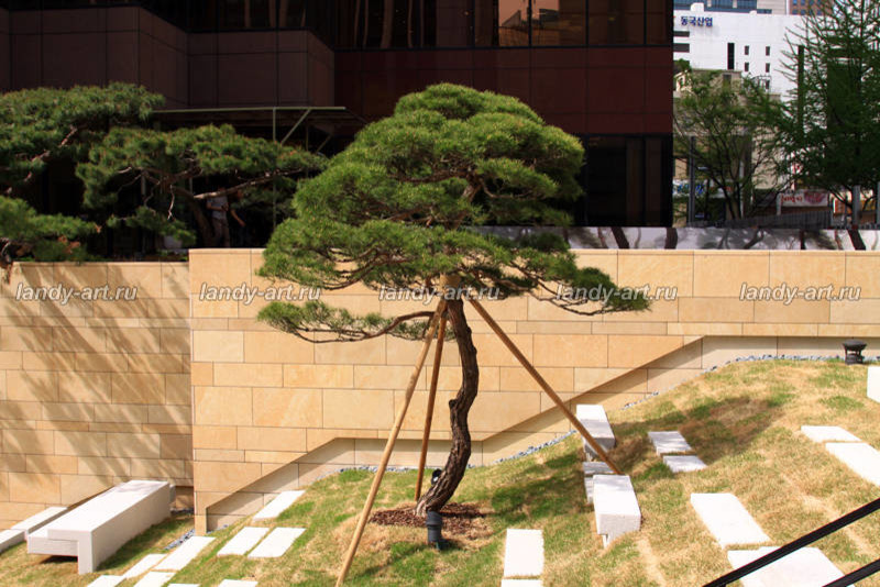 Подпорные стенки.