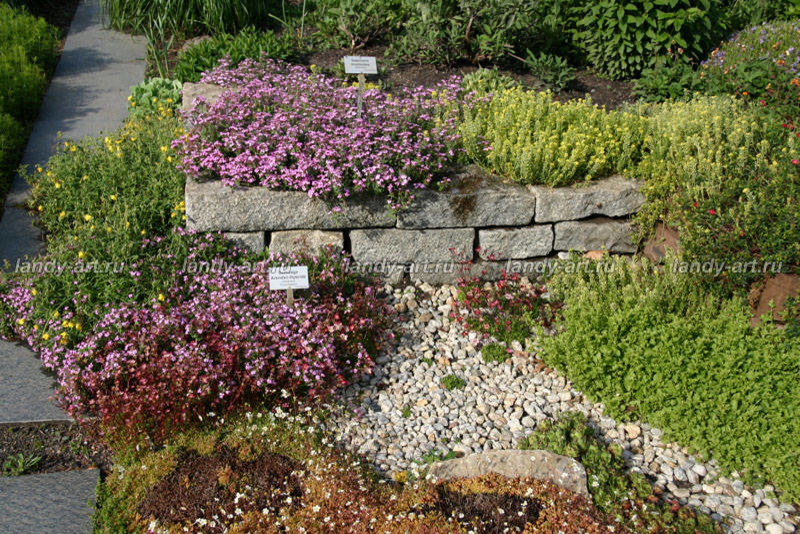 Гравийный сад.