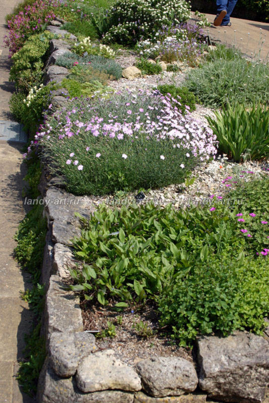 Гравийный сад.