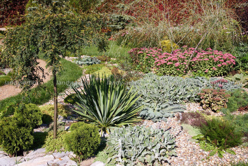 Гравийный сад.