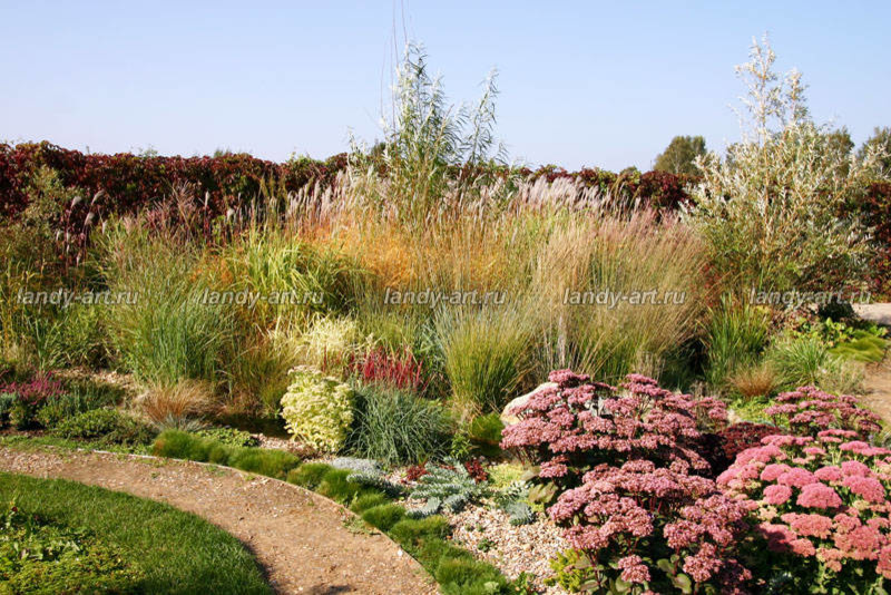 Гравийный сад.