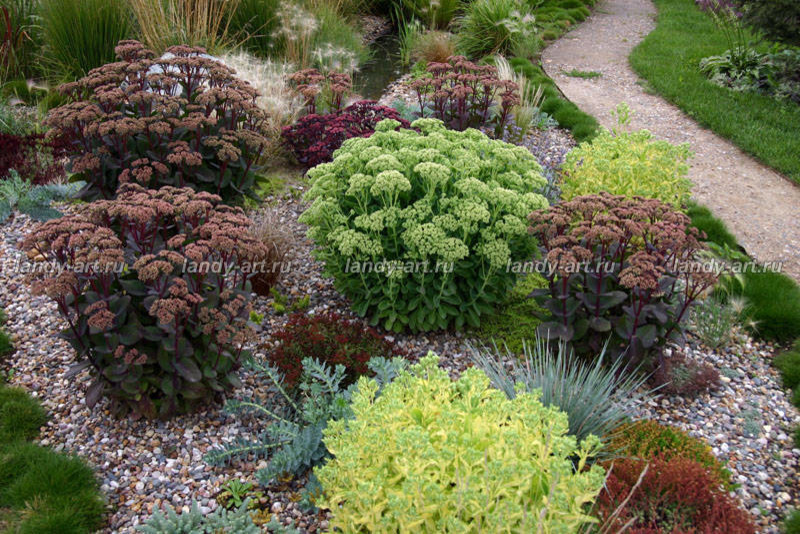 Гравийный сад.