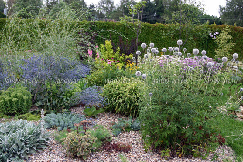 Гравийный сад.