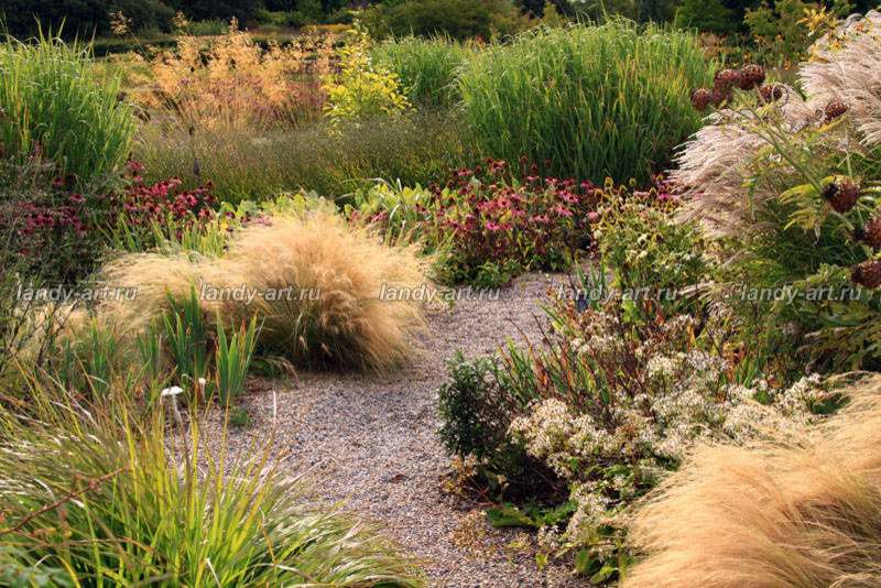 Гравийный сад.