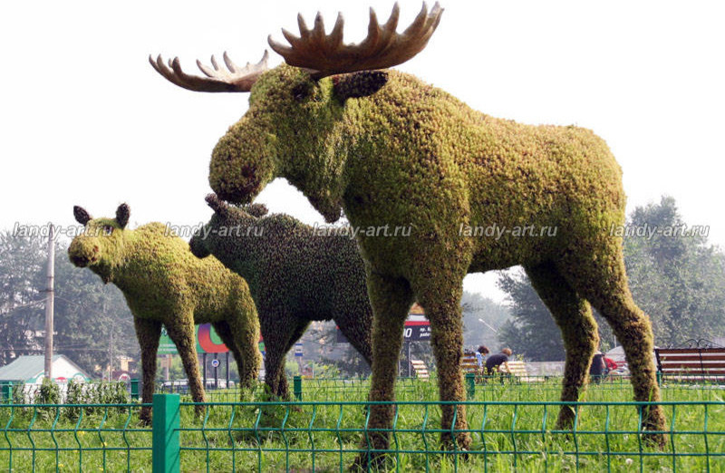 Вертикальные цветники.