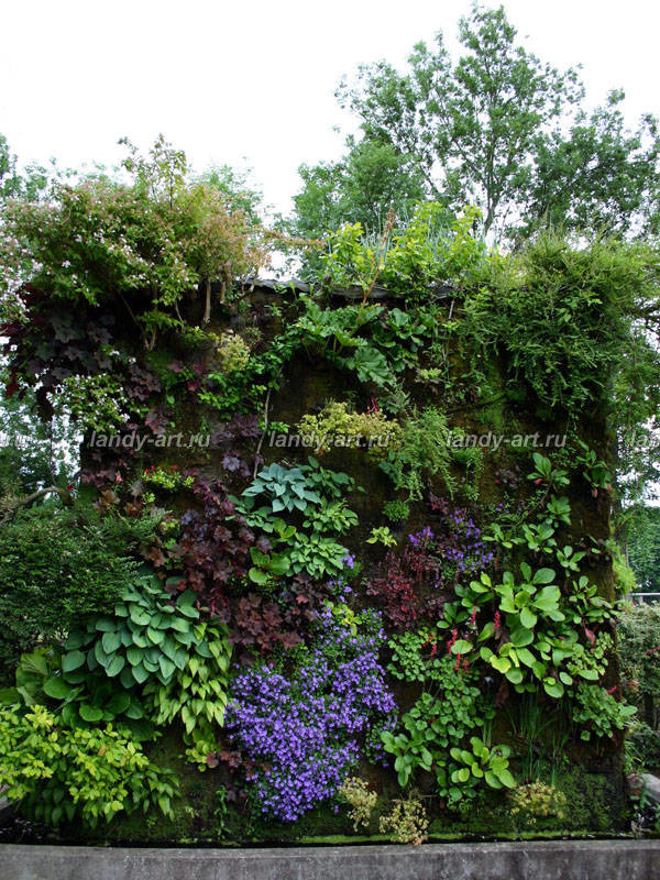 Вертикальные цветники.