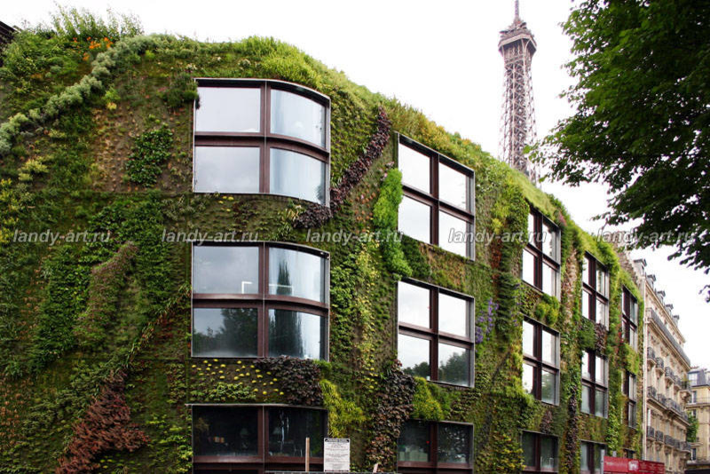 Вертикальные цветники.