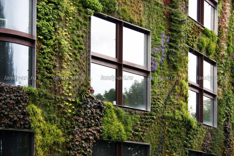 Вертикальные цветники.