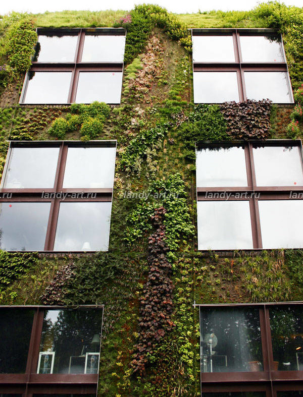 Вертикальные цветники.