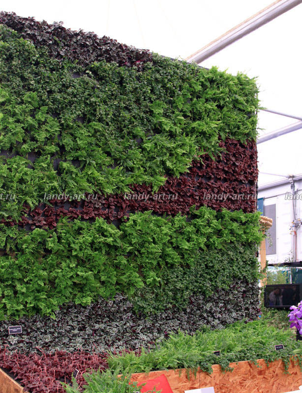 Вертикальные цветники.