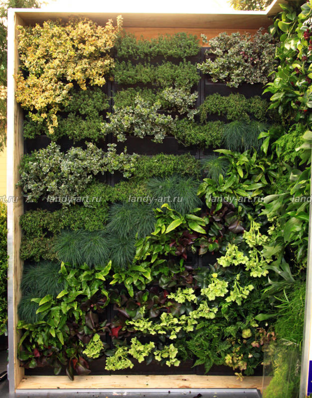 Вертикальные цветники.