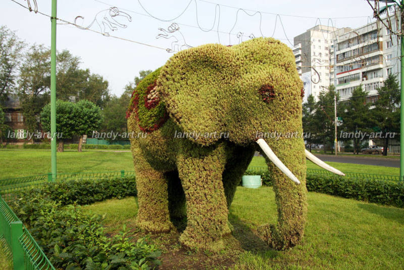 Вертикальные цветники.