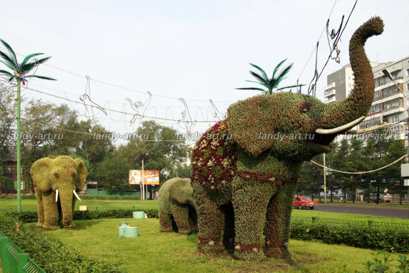 Вертикальные цветники.