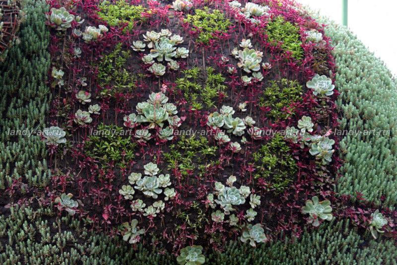 Вертикальные цветники.