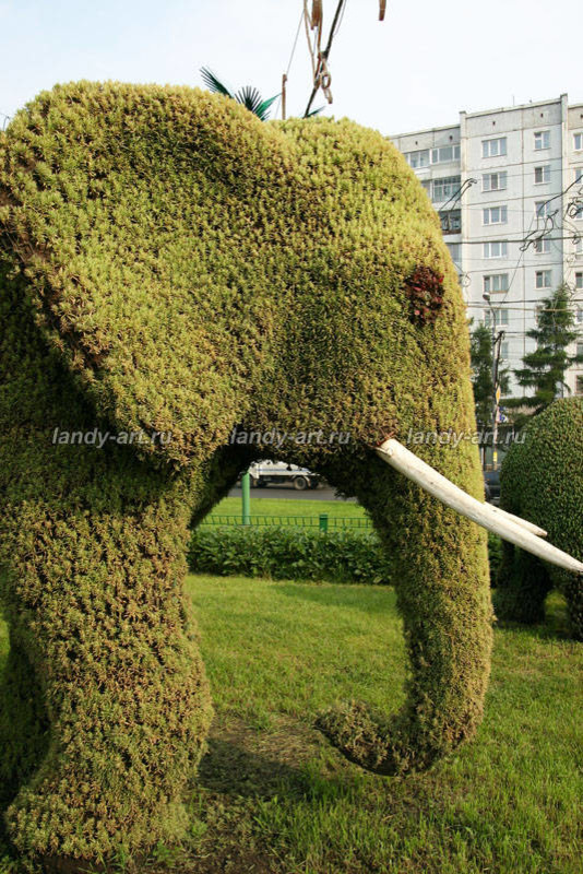 Вертикальные цветники.