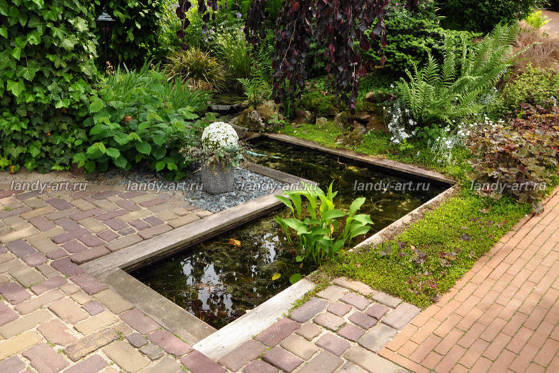 Мини-водоемы.