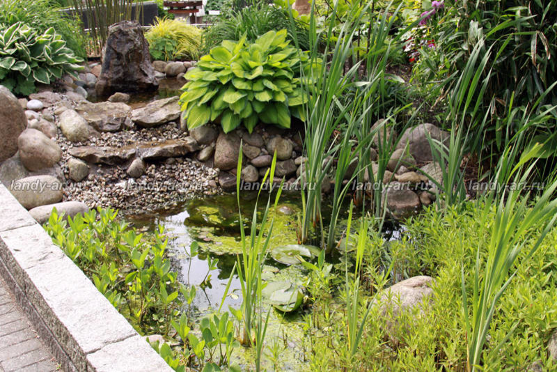 Мини-водоемы.