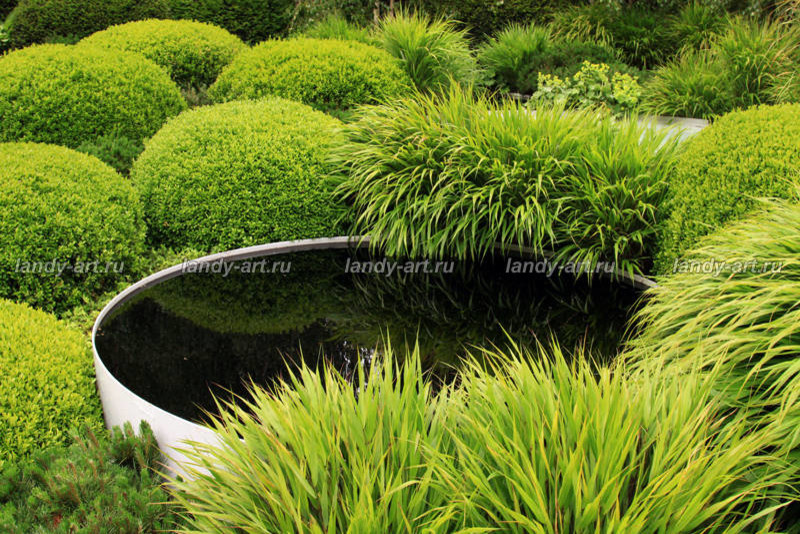 Мини-водоемы.