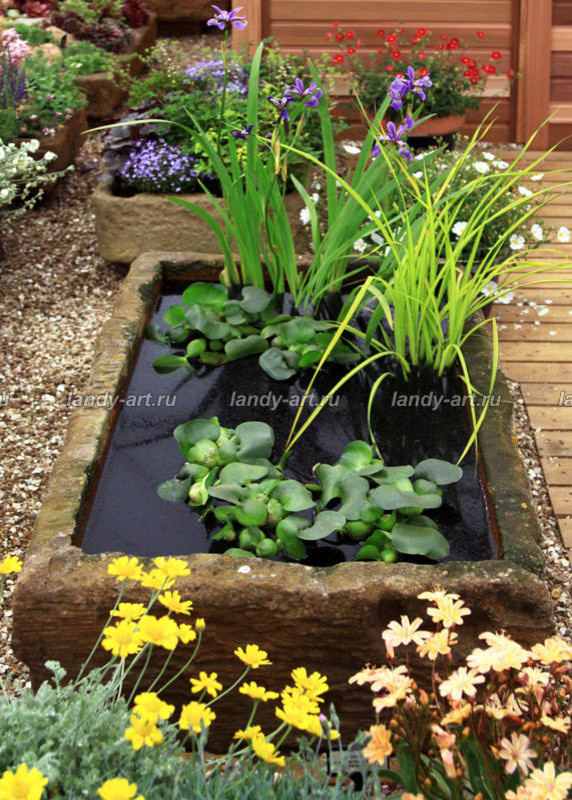 Мини-водоемы.