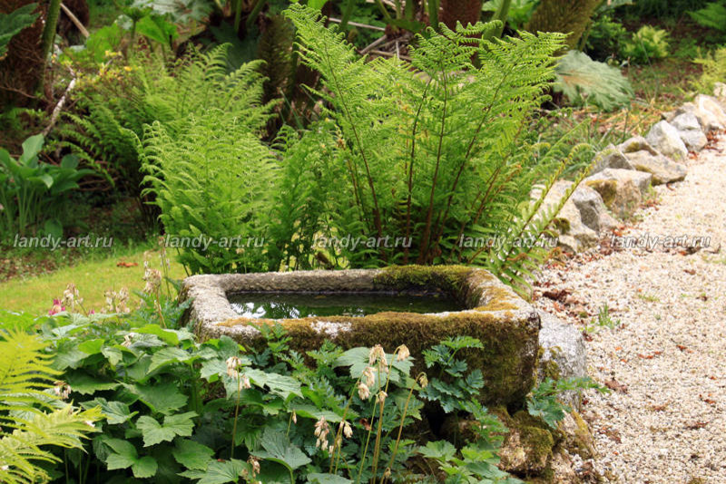 Мини-водоемы.