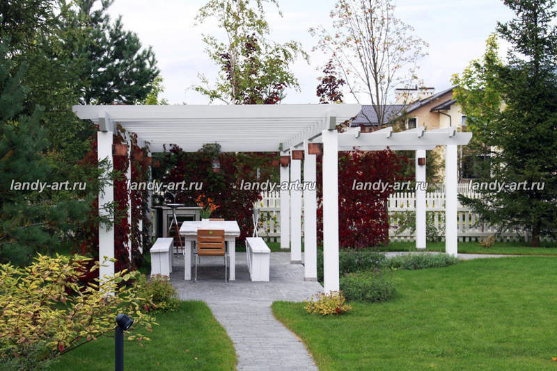 Сад на 25 сотках.