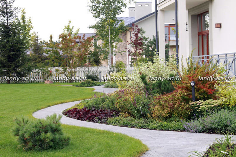 Сад на 25 сотках.