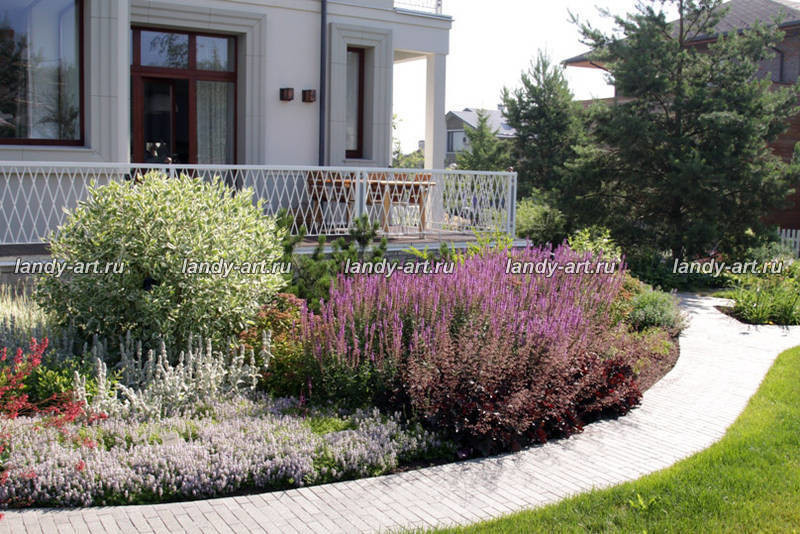 Сад на 25 сотках.