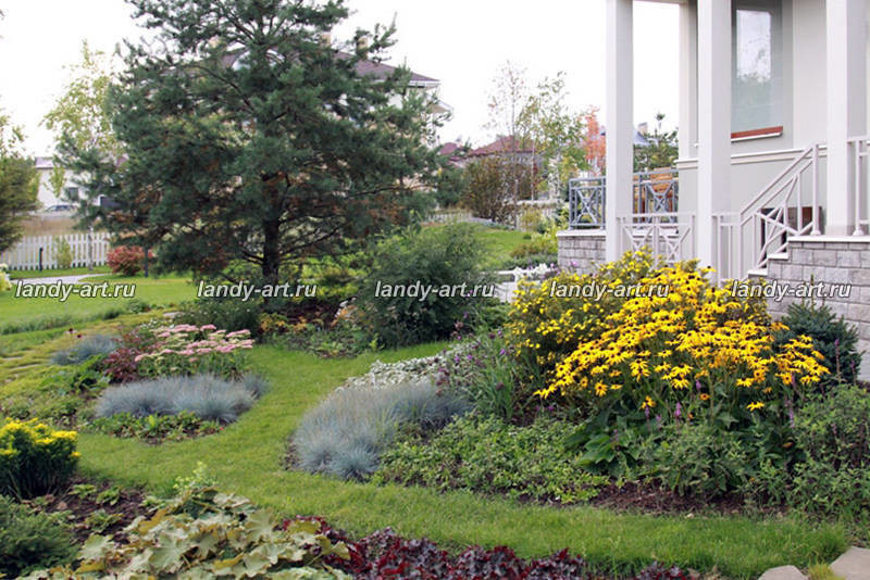 Сад на 25 сотках.