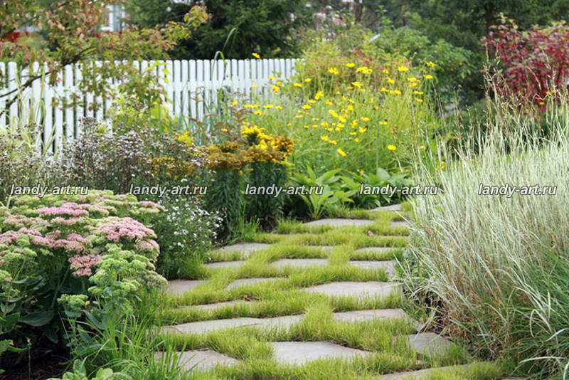 Сад на 25 сотках.