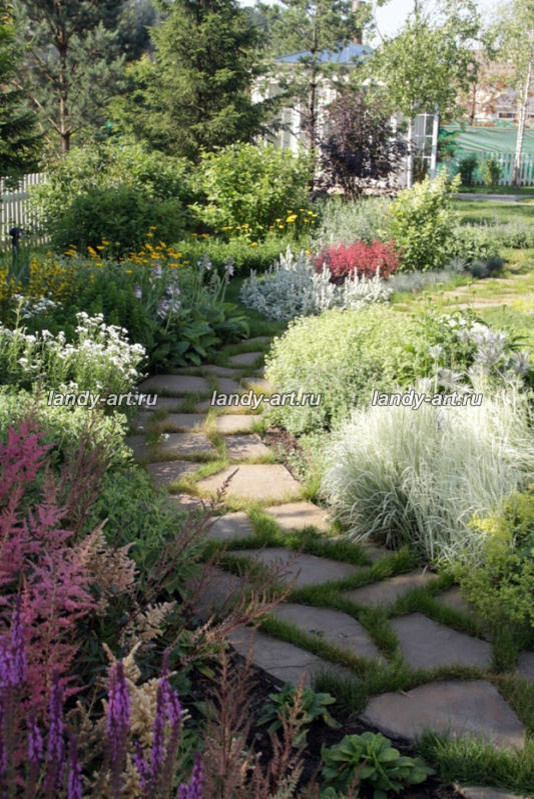 Сад на 25 сотках.