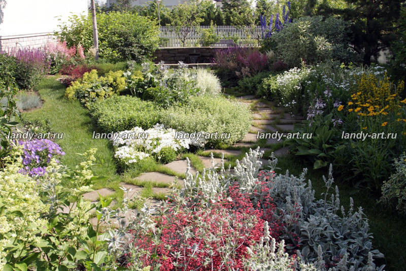 Сад на 25 сотках.