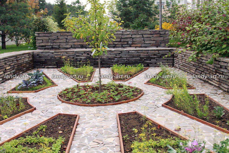 Сад на 25 сотках.