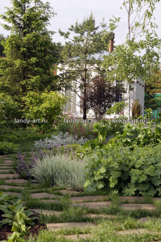 Сад на 25 сотках.