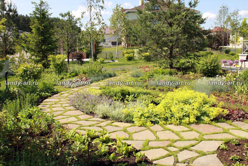 Сад на 25 сотках.