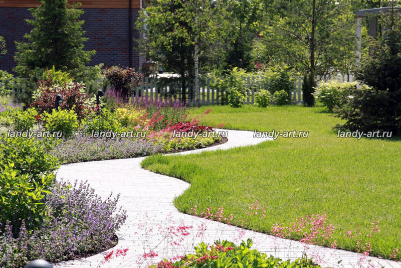 Сад на 25 сотках.