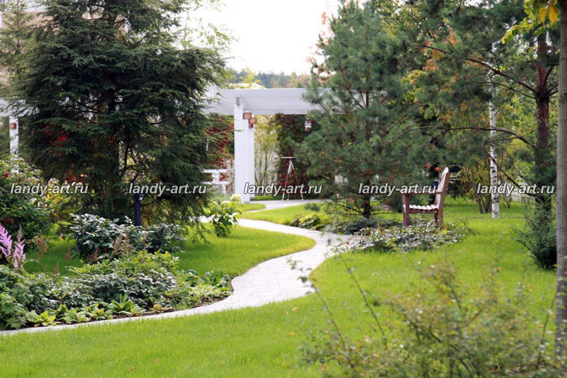 Сад на 25 сотках.