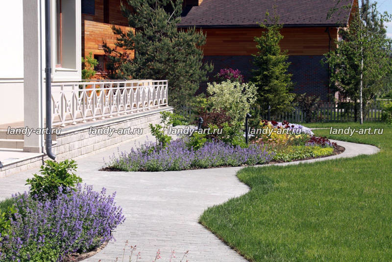 Сад на 25 сотках.