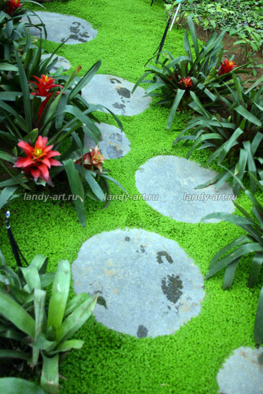 Пошаговые дорожки.