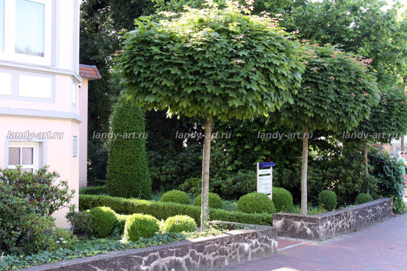 Германия. Городок Бад-Цвишенан