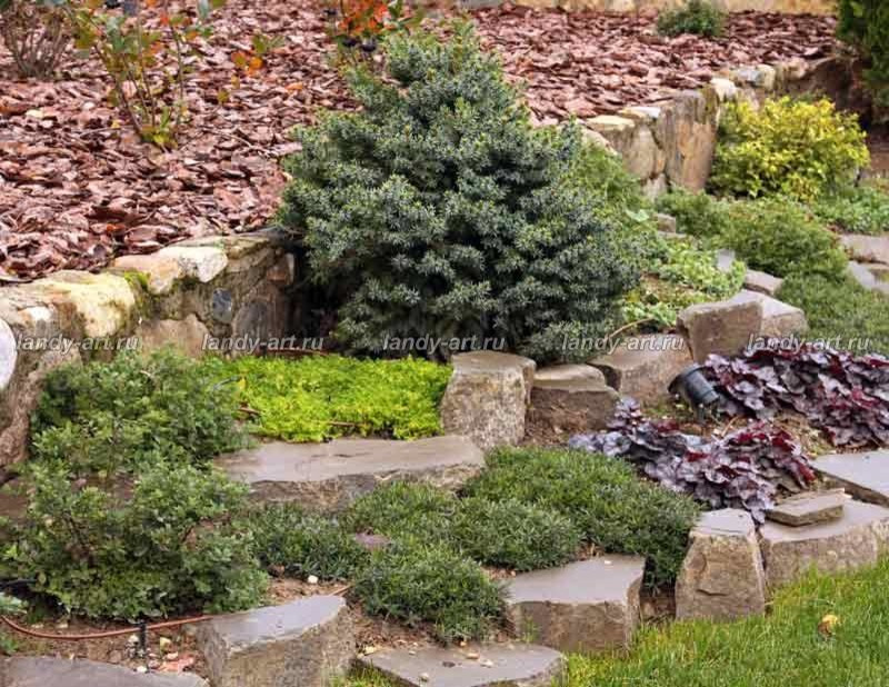 Террасный сад.