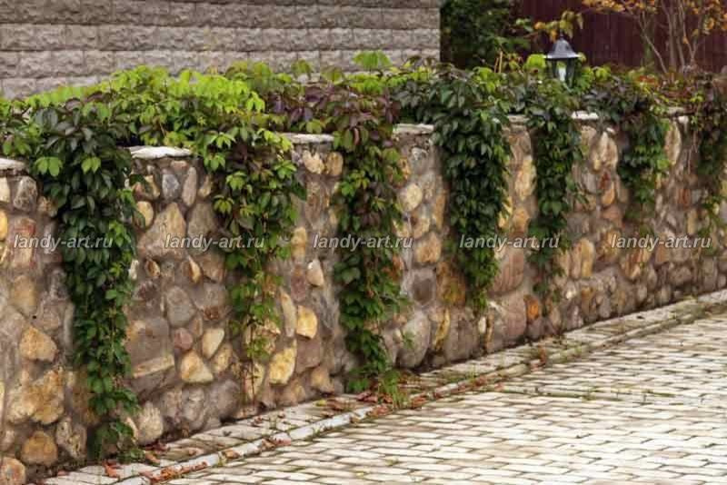 Террасный сад.