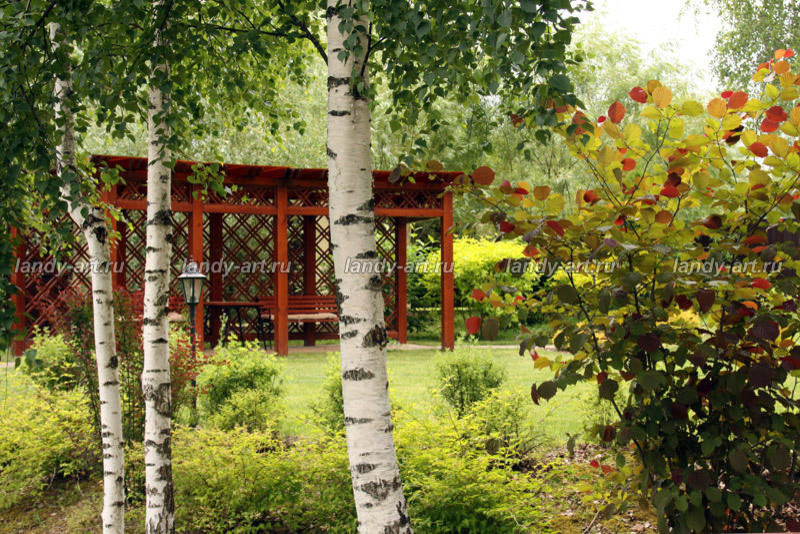 Террасный сад.