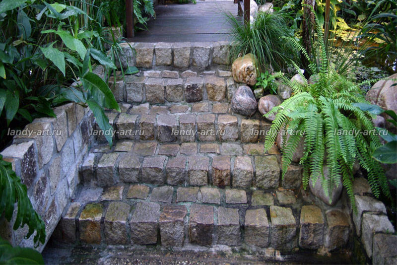 Дикие лестницы